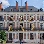 Charmant Appartement Au Coeur De Blois